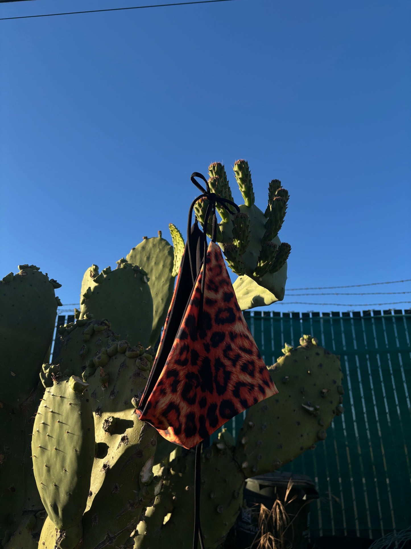 Fire Cheetah String Reversible Bottoms
