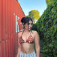 Fire Cheetah Reversible Top